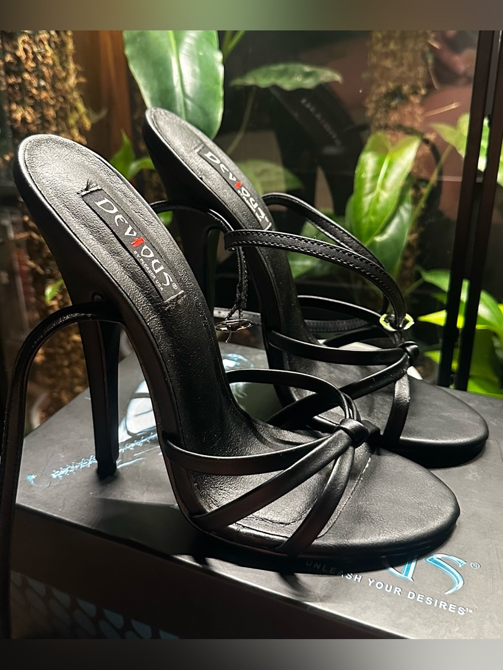 Pleasers Devious Black Heels